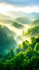 Sunlit misty mountain valley, sunrise, nature backdrop