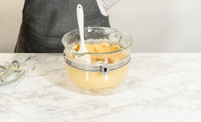 Cookie Dough in Bowl with Spatula Standing