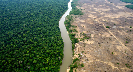 A River Divides Lush Rainforest from Devastated Deforested Land