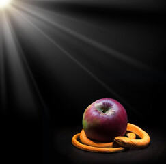 The snake lies near the apple