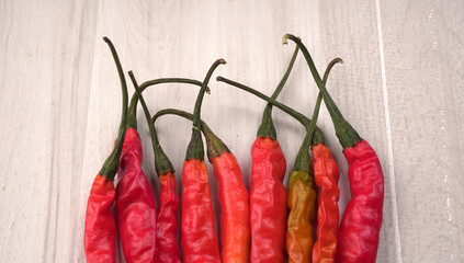 Fresh long Indian green and red chillies on beautiful background. Organic Indian spices for hot and spicy cuisine. 