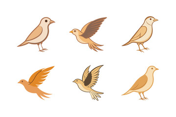 set of lark bird vector illustration
