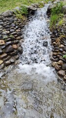 stream in the forest