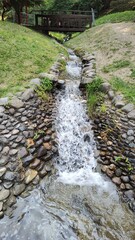 stream in the forest