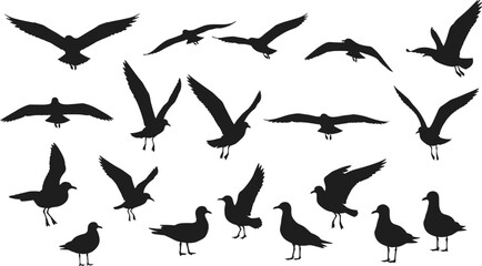 Set of flying and standing seagull silhouettes, black bird vector icons isolated on white background, coastal bird illustration for nature, wildlife, seaside and marine designs