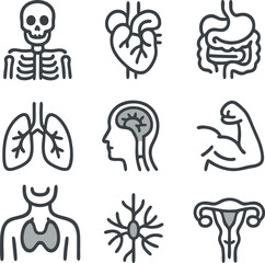 Obraz premium Human Anatomy Icon Set