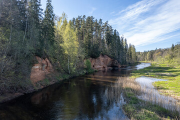 red sandstone cliffs overgrown with forest trees. Salaca river, Latvia