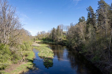 Salaca river in Latvia near Mazsalaca town. Forest on river banks, springtime season