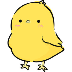 Yellow chick illustration drawing doodle
