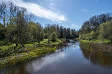 Salaca river in Latvia near Mazsalaca town. Forest on river banks, springtime season