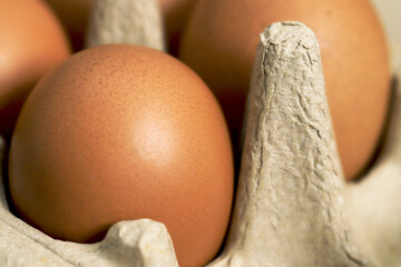 Eggs are the best protein and are inexpensive and readily available