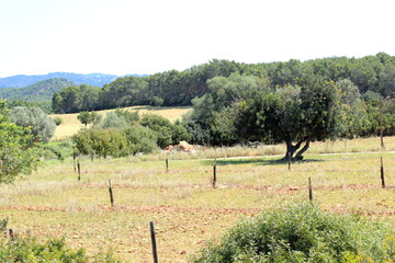 Mallorca Peguera Landschaft Balearen Insel Wanderurlaub 