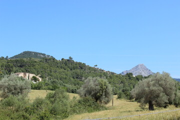 Mallorca Peguera Landschaft Balearen Insel Wanderurlaub 