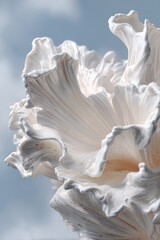 Delicate white sculptural art resembling a flower or coral.