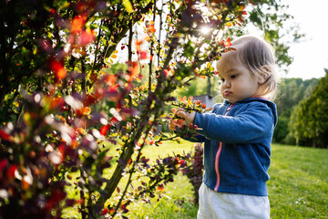 Child exploring nature in sunny green park surrounded by colorful bushes