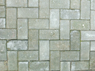 Gray Paved Brick Pathway with Moss and Dirt in Outdoor Setting