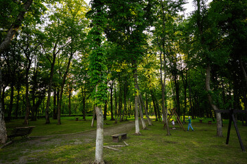 Peaceful park with walking paths surrounded by lush green trees and vegetation
