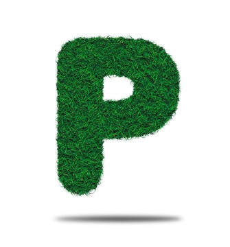 Alphabet letter with grass on a white background isolated letter with grass effect