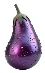 Vibrant fresh purple eggplant covered in water droplets, looking healthy
