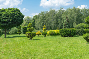 Park landscape design with ornamental shrubs and trees