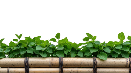 Abundant vibrant green leaves and plants arranged in a harmonious botanical design evoking a sense of natural growth and vitality