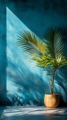 Green plant leaves against blue wall with shadows. Useful for articles about home gardening and interior design.