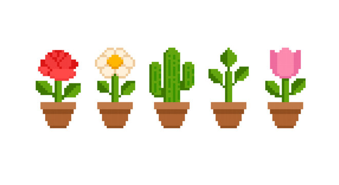 Pixel Art flowers and plants collection in retro 8-bit grapics. Pixel Art Blossom flower and Indoor potted plant set 2 of: rose, cactus, chamomile and tulip. Vector pixel illustration