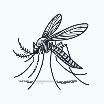 Detailed illustration of a mosquito on skin in vintage style