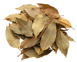 Pile of dried bay leaves, yellow-brown color, on black