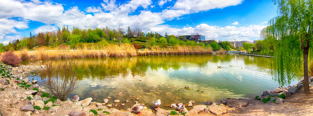 Serene view of Ankara Göksu Park lake with calm water reflecting blue sky and trees. Ducks swim...