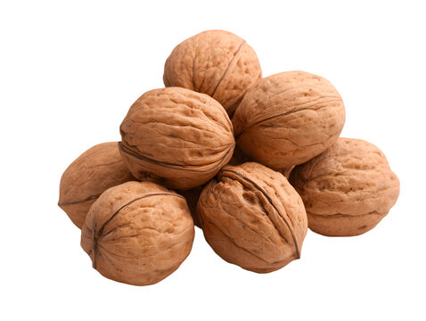 walnuts isolated. png file 36588499 1