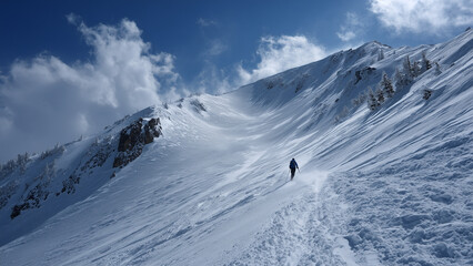 A solitary skier glides down a wide, untouched snowy slope beneath a clear bluebird sky. The expansive, peaceful landscape emphasizes solitude, freedom, and the beauty of alpine winter adventure.