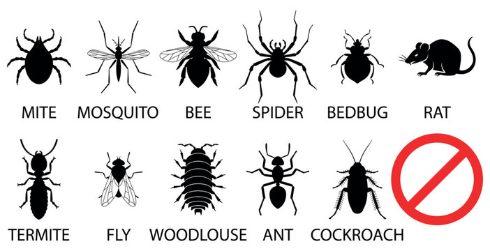 No insects, prohibited sign. Icon set of pest control. Insect repellent label product. Isolated forbidding and warning signs of harmful insects and rodents