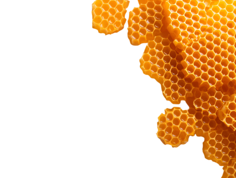 Honeycombs isolated on white or transparent or white or transparent background, png 26709743 1