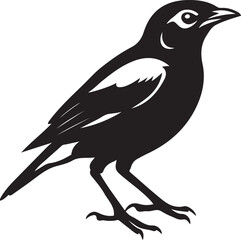 Bird black and white stylish silhouette, Artistic bird design in simple black lines