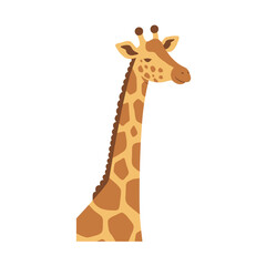 Fototapeta premium Cartoon illustration of giraffe's head and neck on white background, tan with brown spots