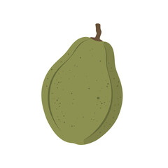 A simple cartoon illustration of a light green guava with small brown spots and a stem