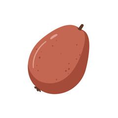 Illustration of a reddish-brown oblong fruit with small dark spots, set against a white background