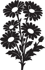 Bouquet of daisies black white silhouette, Floral design element simple drawing