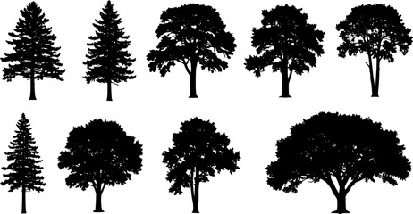 Tree silhouette vector. Isolated forest trees on white background
