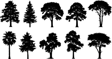 Tree silhouette vector. Isolated forest trees on white background
