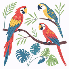 Colorful parrots set. Collection of exotic and tropical birds with bright feathers and beak. Wildlife of jungle and tropical forest. Cartoon flat vector illustrations isolated on white .