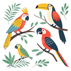Colorful parrots set. Collection of exotic and tropical birds with bright feathers and beak. Wildlife of jungle and tropical forest. Cartoon flat vector illustrations isolated on white .