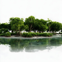 A small island with a forest on it