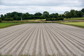 A plowed field with light brown soil ready for crops. Agriculture and farming image. Planting and...