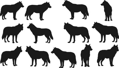 Black wolf silhouette vector collection, wild animal illustration, standing wolf poses, forest predator art, nature design graphic clipart pack