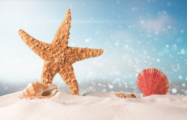 Starfish and shell on sandy beach with blurred background