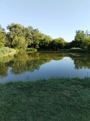 Tranquil Pond with Reflections of Summer Trees