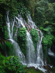 Fototapeta premium Scenic Jungle Waterfall at Banyu Wana Amertha in Bali, Indonesia Paradise