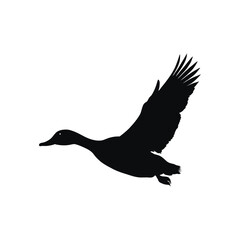 Flying Duck Silhouette black and white vector design 
